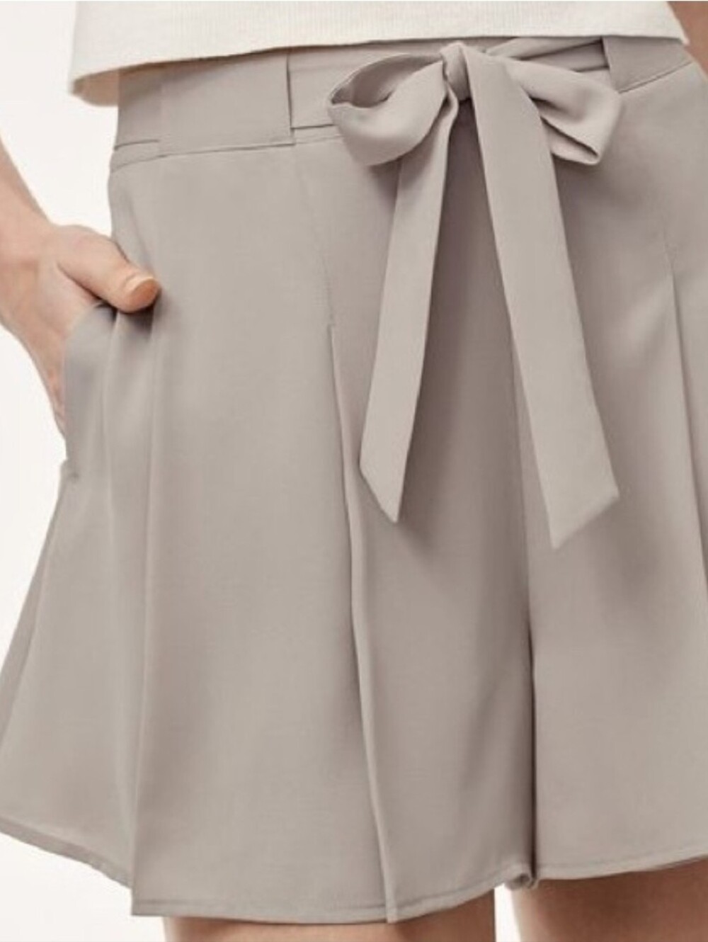 Aritzia Sunday Best Westley Short In Ashen Size 4